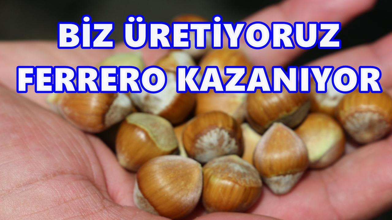 Fındığı 10 Liraya Satıyoruz, 100 Liraya Geri Alıyoruz!
