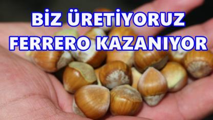 Fındığı 10 Liraya Satıyoruz, 100 Liraya Geri Alıyoruz!