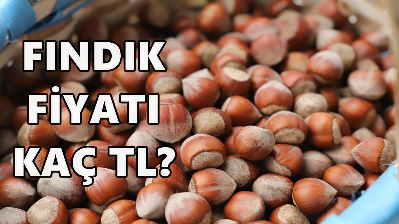 Fındık Fiyatı Açıklandı 26 Kasım 2026 Çarşamba