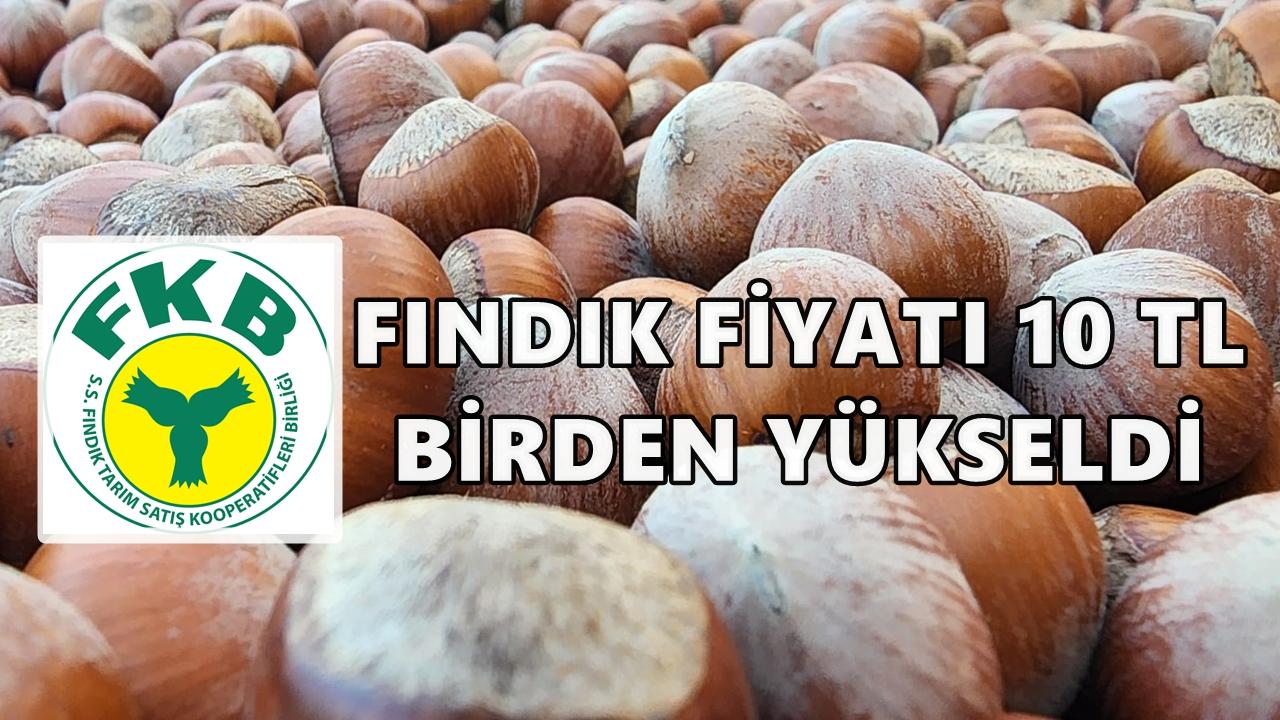 Fındık Fiyatı Bir Anda 10 TL Arttı: Piyasada Neler Oluyor?