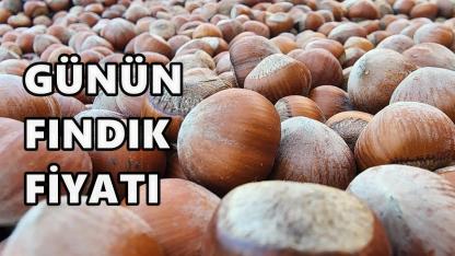 Fındık fiyatı yeni haftaya nasıl başladı? Günün fındık fiyatı