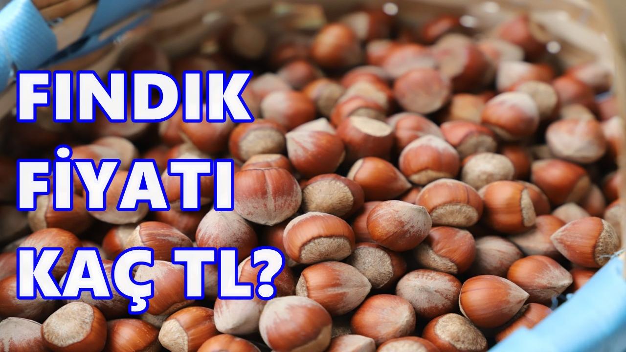 Fındık Fiyatında Belirsizlik: 7 Kasım 2025 Cuma Fındık Fiyatı