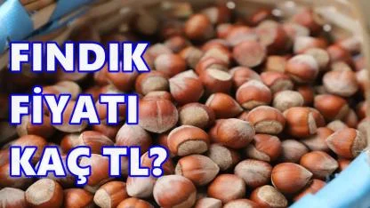 Fındık Fiyatında Belirsizlik: 7 Kasım 2025 Cuma Fındık Fiyatı
