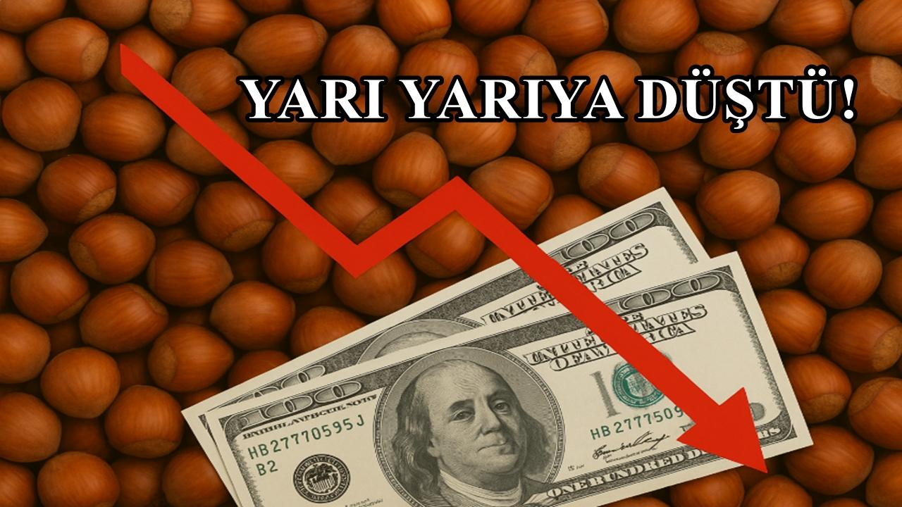 Fındık İhracatı Yarı Yarıya Düştü