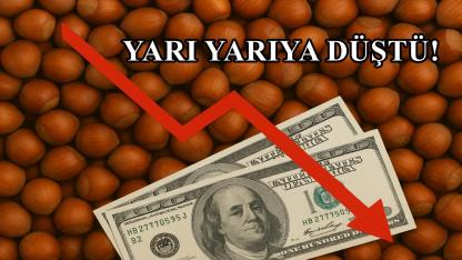 Fındık İhracatı Yarı Yarıya Düştü