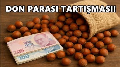 Fındık üreticileri don desteğini görünce şok yaşadı