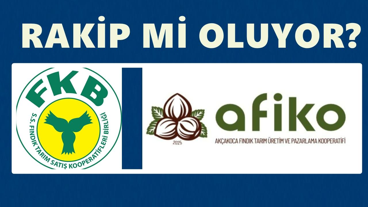 Fındık Üreticileri Yeni Kooperatif Kurdu; Fiskobirlik&#039;e Rakip Mi Geliyor!