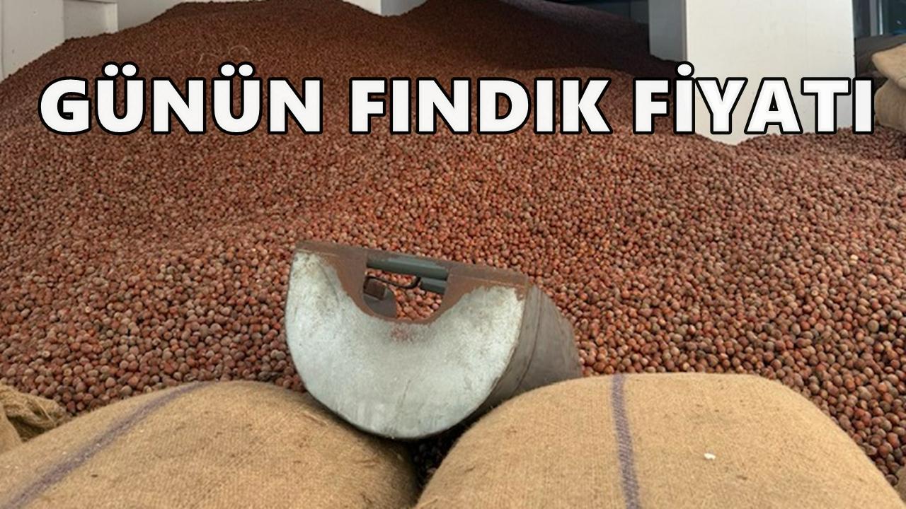 Fındıkta Durgunluk: Üretici Satmıyor, Tüccar Beklemede