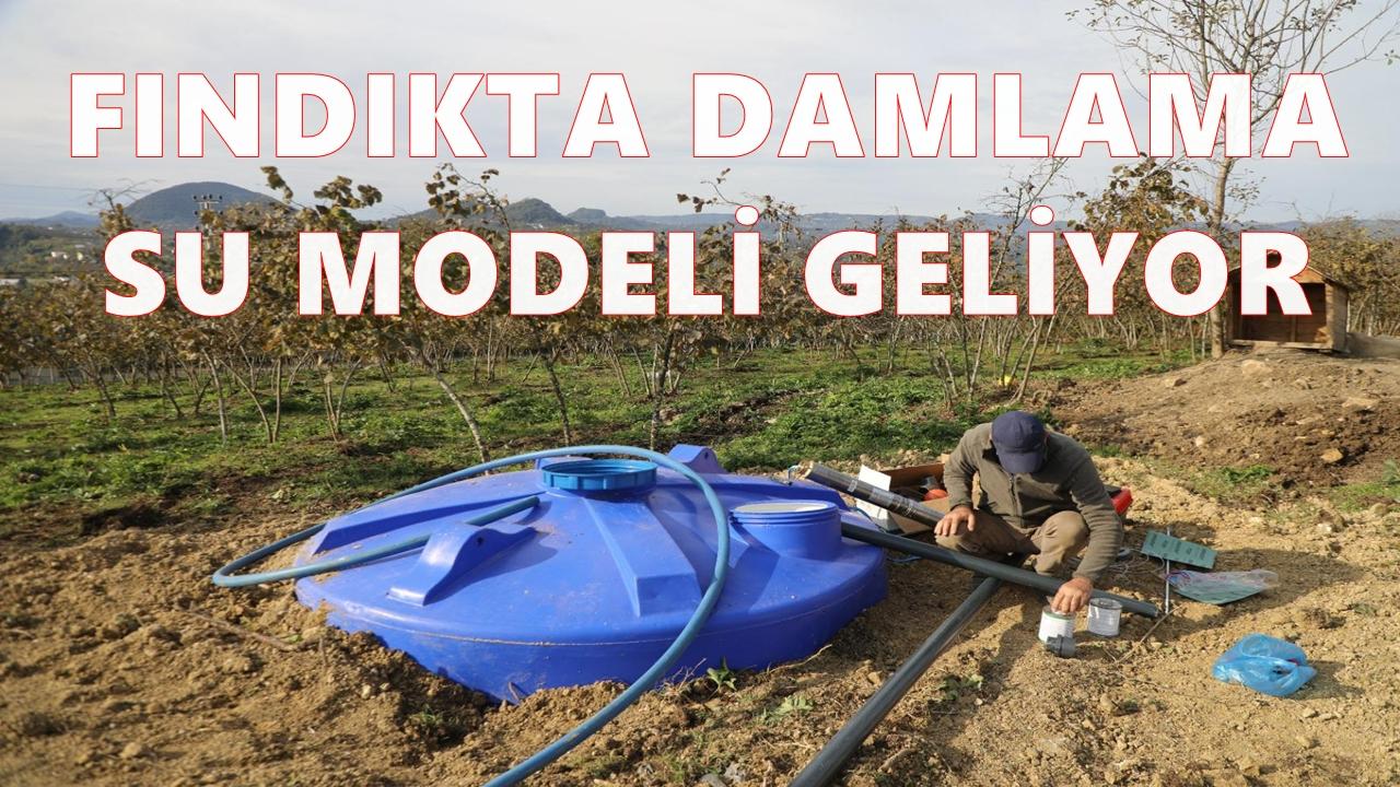 Fındıkta Verim Damlama Su Modeliyle Artacak