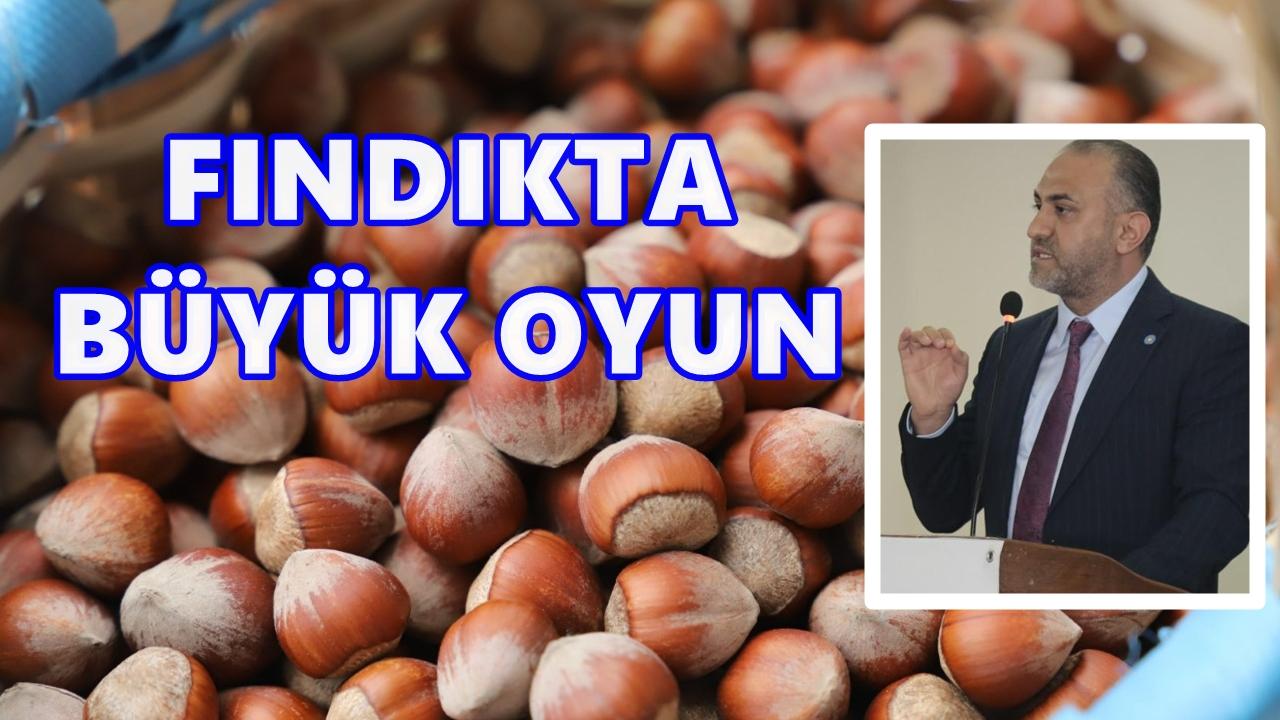 Ordu ve Giresun Fındığı Yok Edilmek İsteniyor