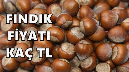 Ordu'da Fındık Fiyatı 30 Kasım 2025 Pazar