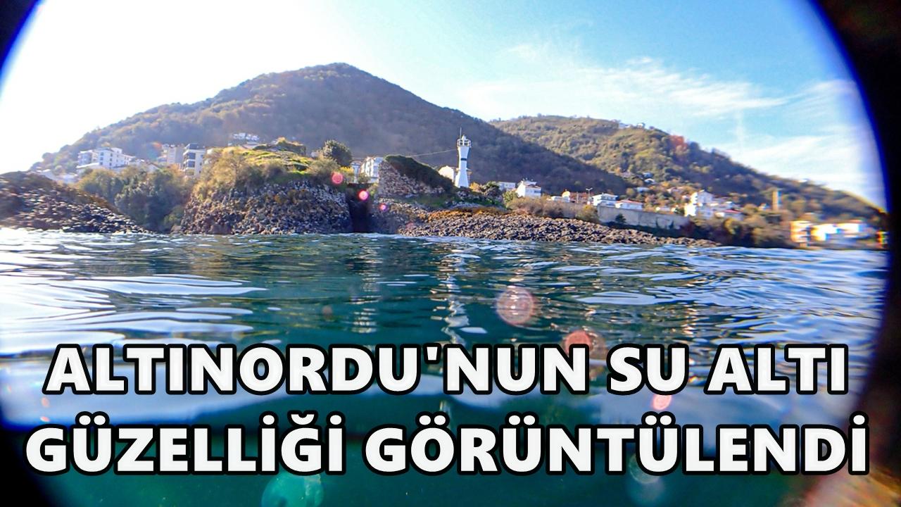 Ordu’da İlk Kez Su Altı Fotoğraf Yarışması Düzenlendi