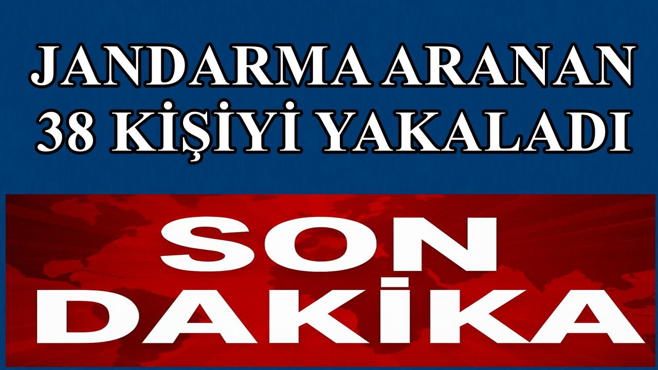 Ordu&#039;da Jandarma Aranan 38 Kişiyi Yakaladı