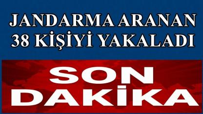 Ordu'da Jandarma Aranan 38 Kişiyi Yakaladı