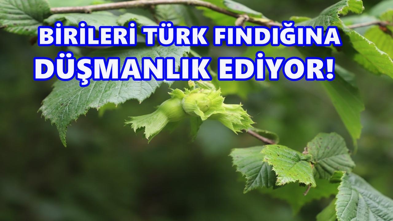 Özcan Şahin’den Rekolte Tepkisi: “Birileri Türk Fındığına Düşmanlık Ediyor!”