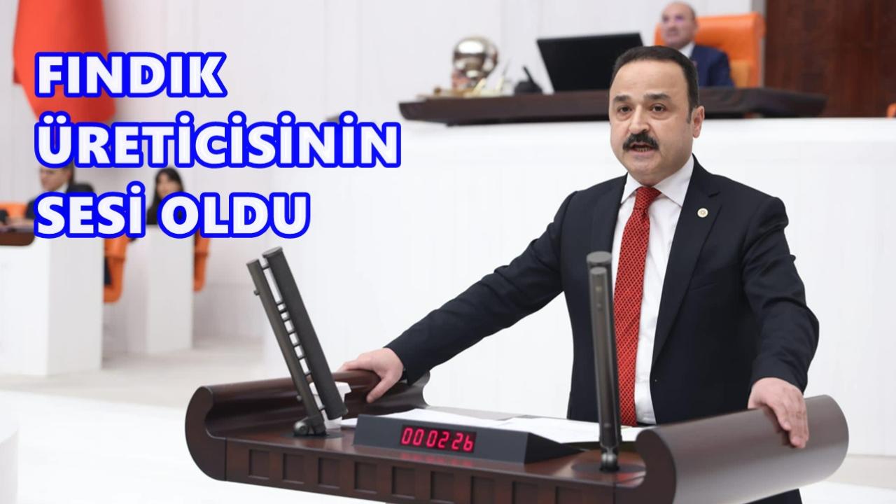 TBMM’de Fındık Alarmı: “3 Milyar Dolarlık İhracat Ürünü Tehdit Altında”