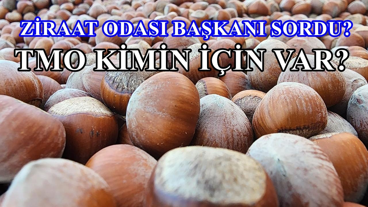 TMO tekelci firmayı koruyor!