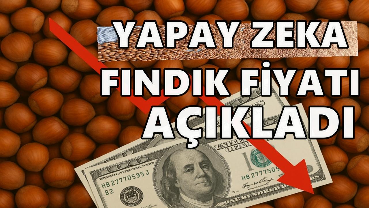 Yapay Zeka Fındık Fiyatını Belirledi; O Fiyatın Altında Olmamalı
