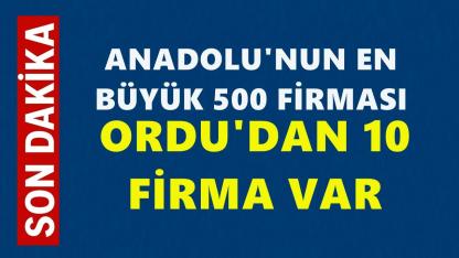 Anadolu’nun En Büyük 500 Şirketi Açıklandı: Ordu’dan 10 Firma Listede