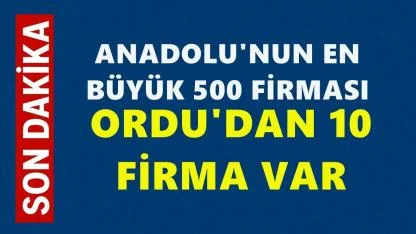 Anadolu’nun En Büyük 500 Şirketi Açıklandı: Ordu’dan 10 Firma Listede