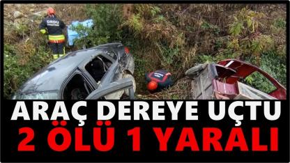 Araç Dereye Uçtu:Karı-Koca Yaşamını Yitirdi