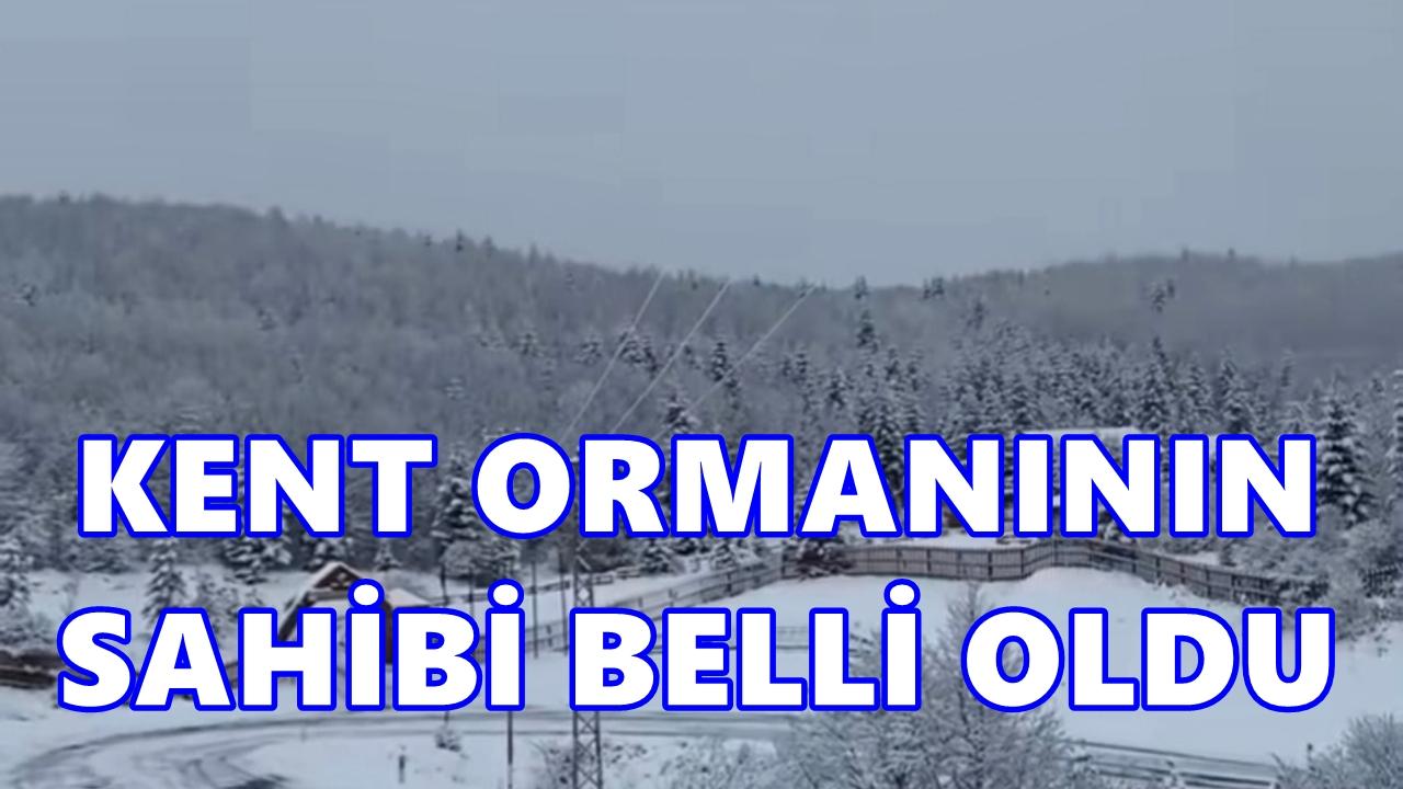 Aybastı Kent Ormanı’nın Yeni İşletmecisi Belli Oldu