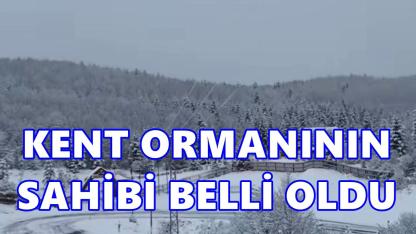 Aybastı Kent Ormanı’nın Yeni İşletmecisi Belli Oldu