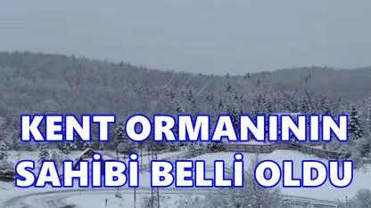Aybastı Kent Ormanı’nın Yeni İşletmecisi Belli Oldu