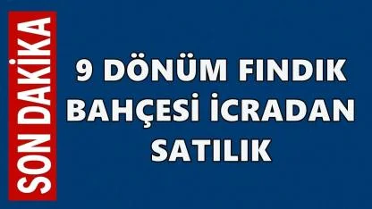 Çaybaşı’nda fındık bahçesi icradan satışa çıkıyor