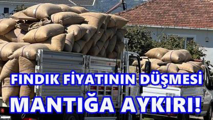Düşük Rekoltede Fiyatın Düşmesi Mantığa Aykırı