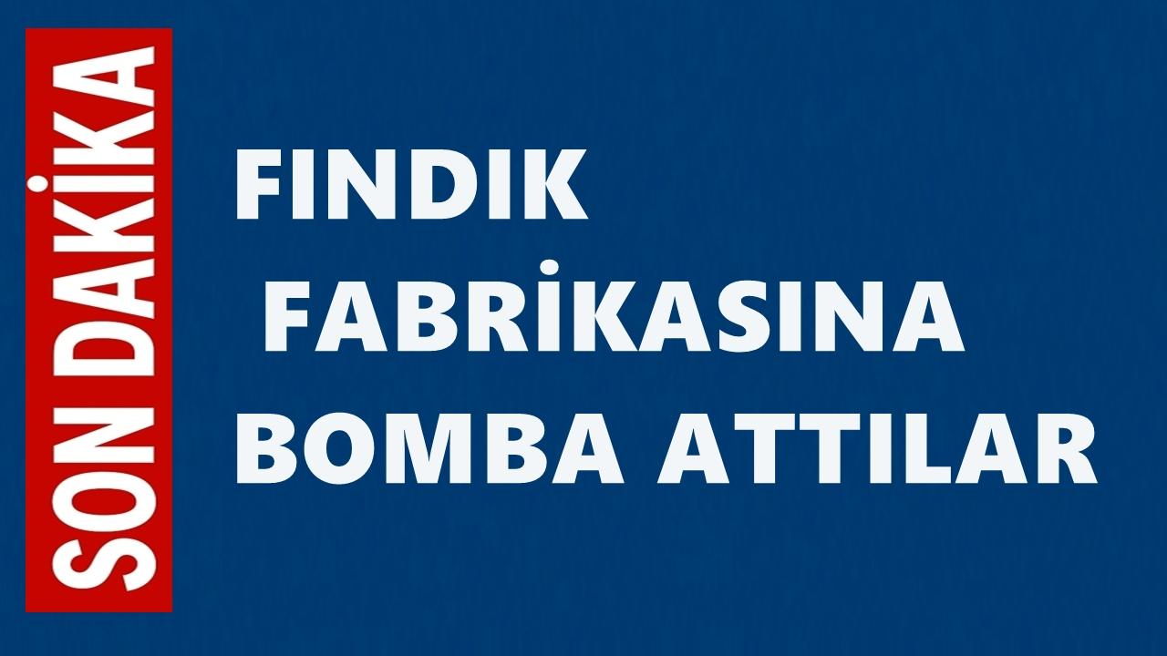 Fındık Fabrikasına El Yapımı Patlayıcı Atıldı: Zanlı Kısa Sürede Yakalandı