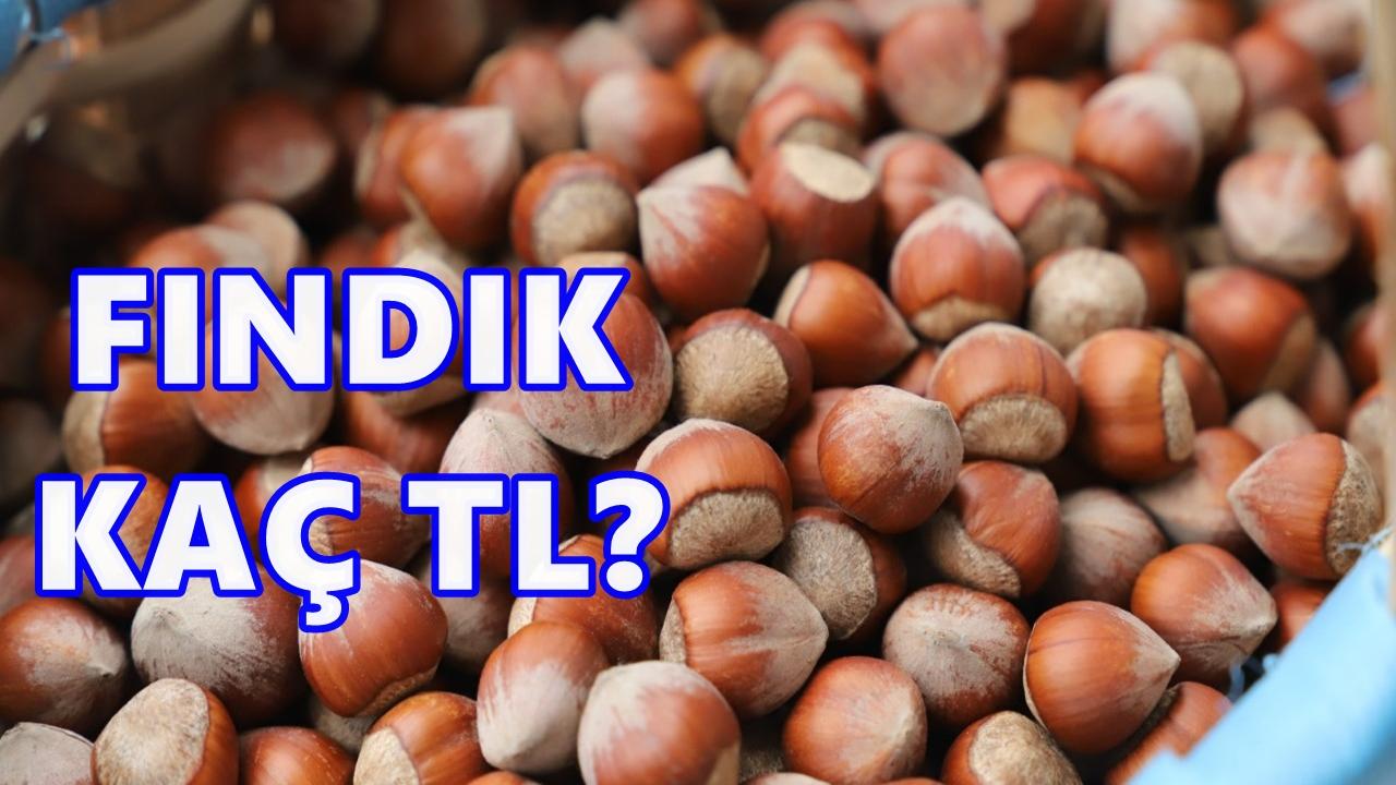 Fındık Fiyatı 9 Aralık 2025 Salı