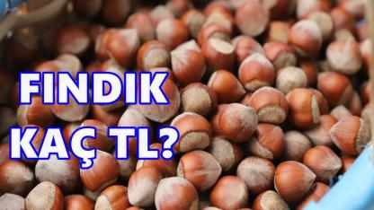 Fındık Fiyatı 9 Aralık 2025 Salı