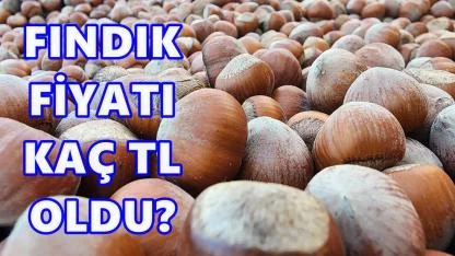 Fındık Fiyatı Açıklandı: 25 Aralık 2025 Perşembe