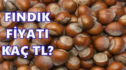 Fındık Fiyatı Bugün Kaç TL? 11 Aralık 2025 Perşembe
