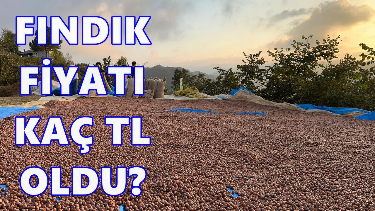 Fındık Fiyatı Kaç TL Oldu? 19 Aralık 2025 Cuma Fındık Fiyatı