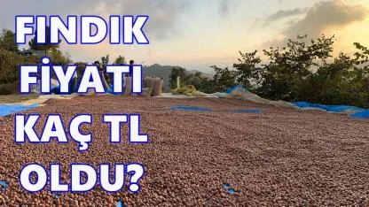 Fındık Fiyatı Kaç TL Oldu? 19 Aralık 2025 Cuma Fındık Fiyatı