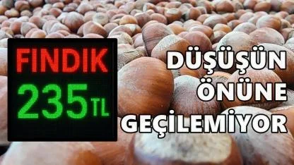 Fındık Fiyatı Sert Düştü: Ordu’da Tabelalar 235 TL’yi Gösterdi