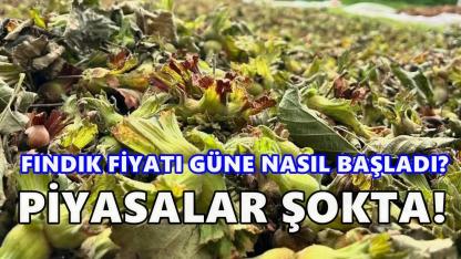 Fındık Fiyatı Yeni Haftaya Nasıl Başladı? Piyasalar Şokta!
