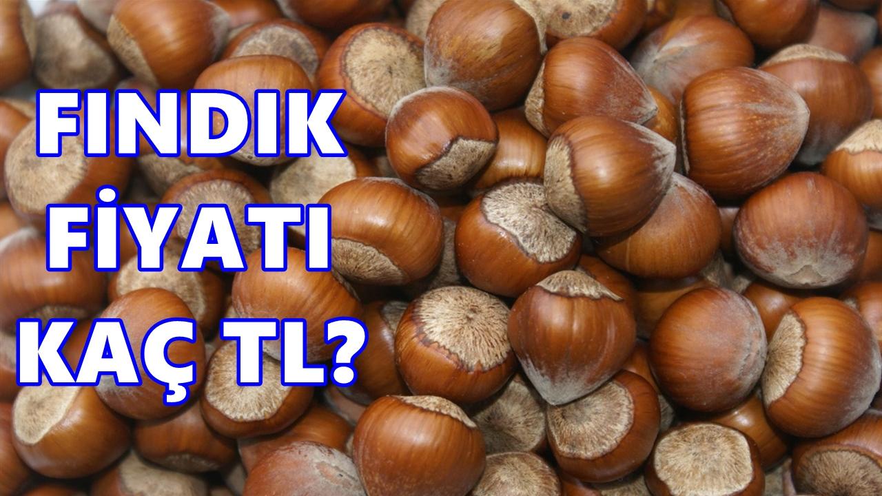 Fındık Fiyatı Yılın Son Haftasına Nasıl Girdi?