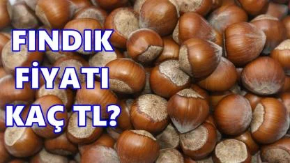 Fındık Fiyatı Yılın Son Haftasına Nasıl Girdi?