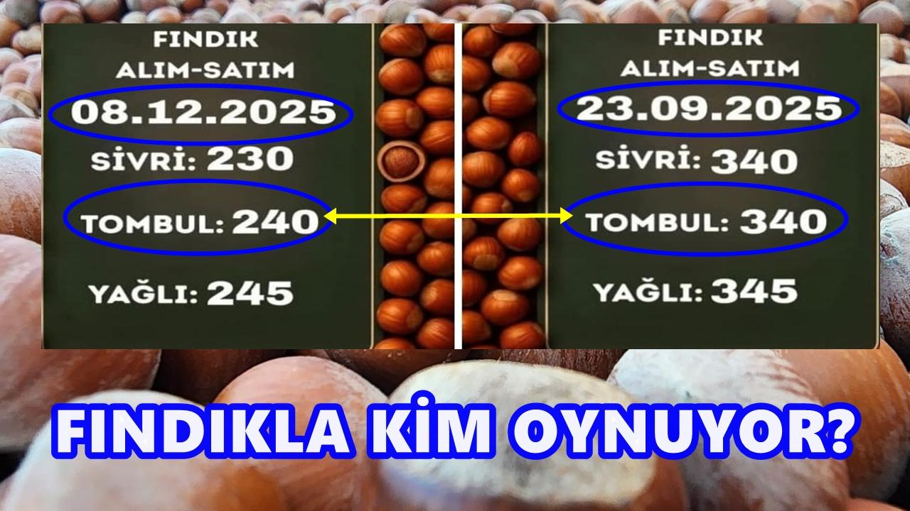 Fındık Fiyatlarında 100 TL’lik Çöküş: “Piyasayı Tekel Firma mı Baskılıyor?”
