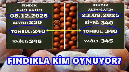 Fındık Fiyatlarında 100 TL’lik Çöküş: “Piyasayı Tekel Firma mı Baskılıyor?”