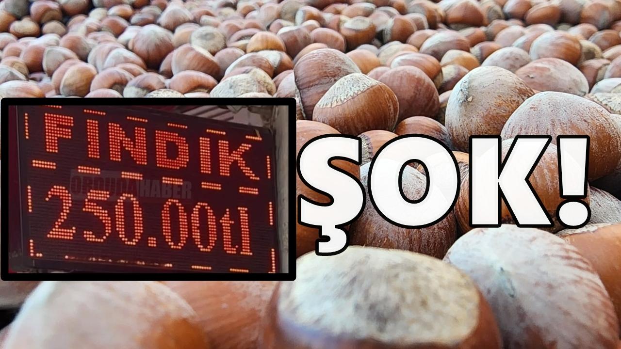 Fındık Fiyatlarında Yeni Hafta Şoku!