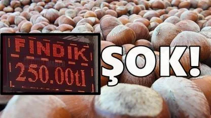 Fındık Fiyatlarında Yeni Hafta Şoku!