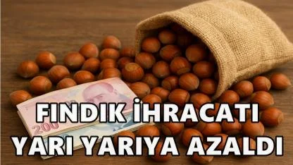 Fındık İhracatında 259 Milyon Dolarlık Kayıp: İlk 3 Ayda %53 Geriledi
