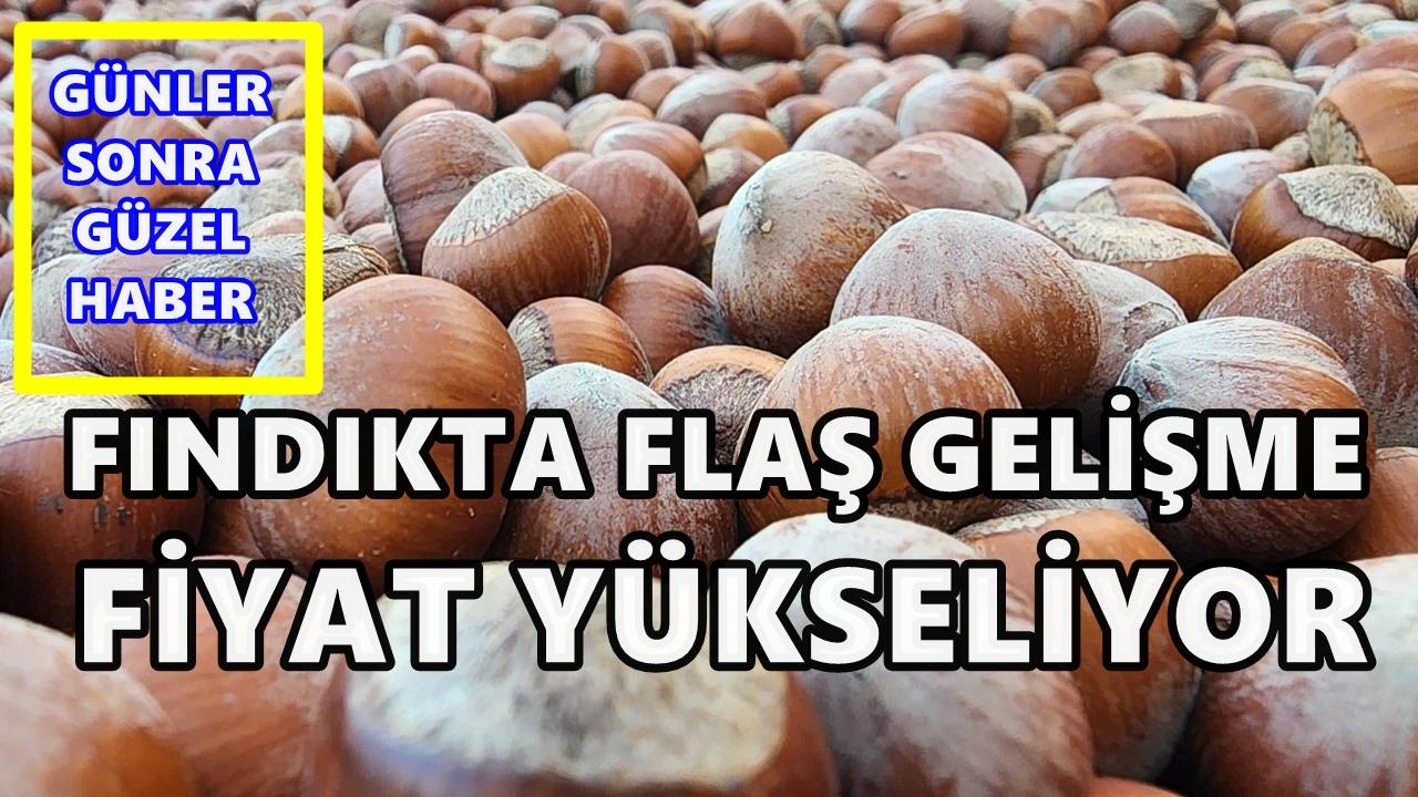 Fındık Piyasasında Flaş Gelişme: Yeni Fındık Fiyatı Açıklandı