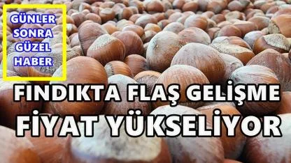 Fındık Piyasasında Flaş Gelişme: Yeni Fındık Fiyatı Açıklandı