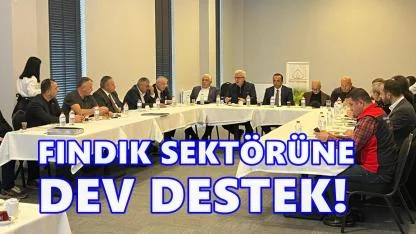 Fındık Sektörüne Dev Destek: 8,7 Milyar TL Ödeme Açıklandı