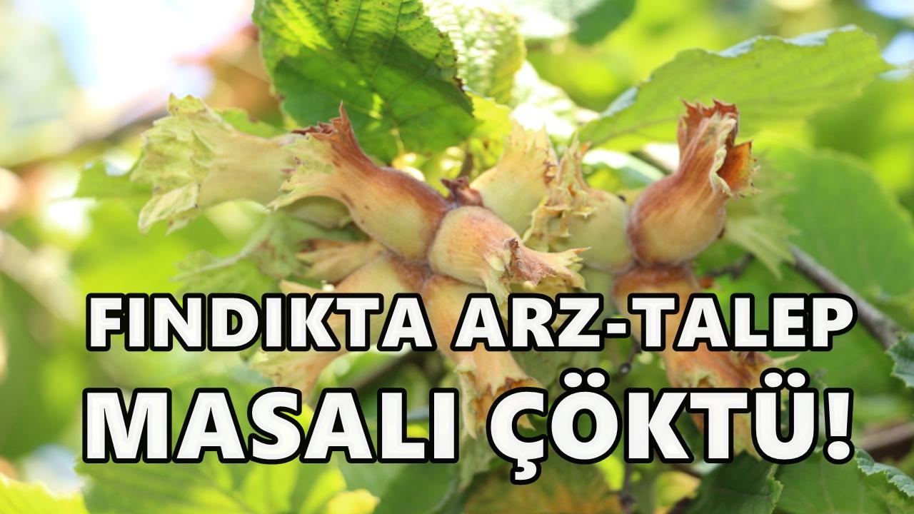 “Fındıkta Arz–Talep Masalı Çöktü: Fiyatları Tekeller Belirliyor”